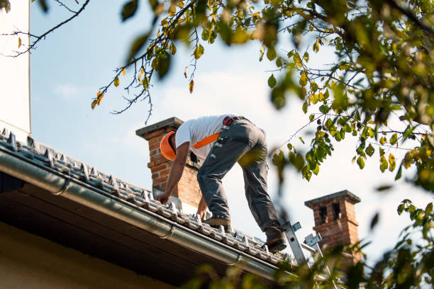 Best Roof Waterproofing Services  in Covington, VA