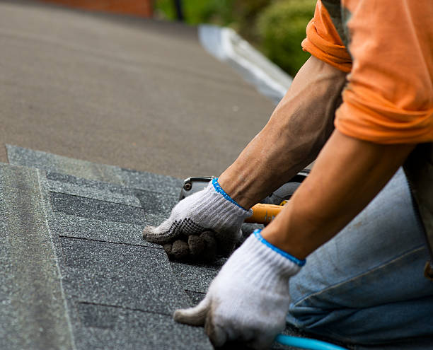 Best Local Roofing Companies  in Covington, VA